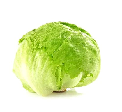 Lechuga Romana Pza.