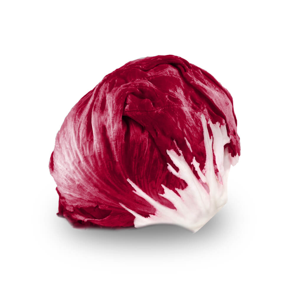 Lechuga Radicchio Pza.