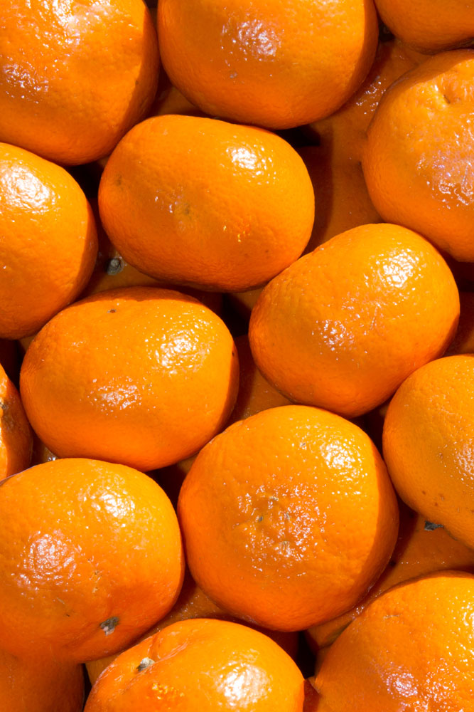 Mandarina Encerada Kg.