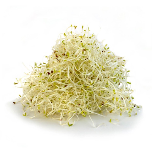 Germen de Alfalfa Domo