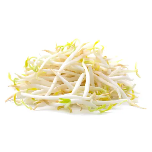 Germen de Soya Kg.