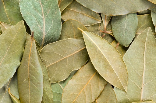 Laurel Kg.