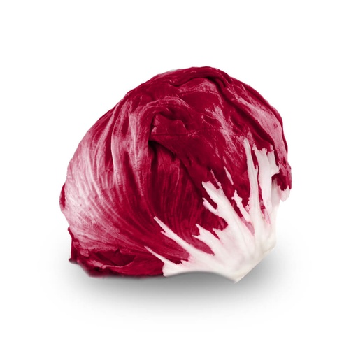 Lechuga Radicchio Pza.