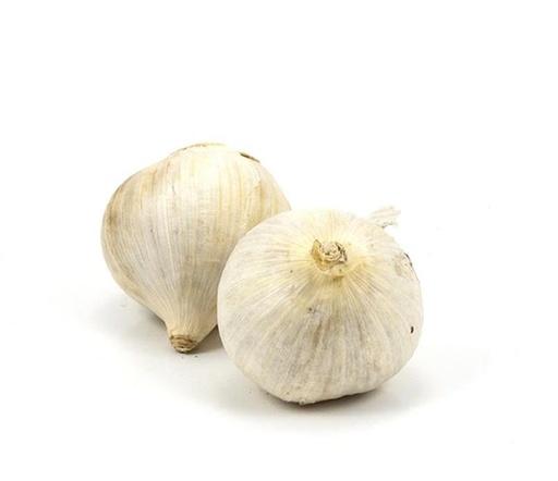 Ajo Macho Kg.
