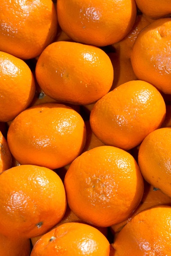 Mandarina Encerada Kg.