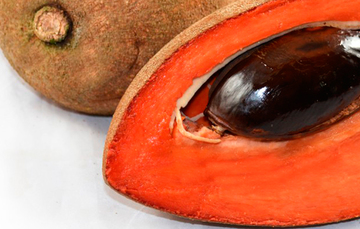 Mamey Kg.