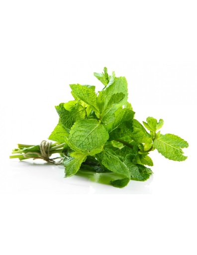 Menta Kg.