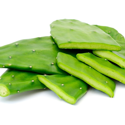 Nopal Kg.