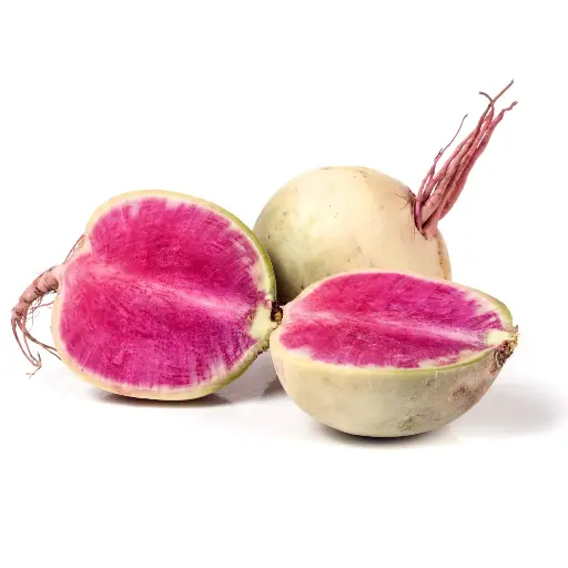 Rábano Sandia Kg.