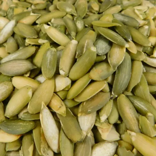 Semilla de Pipian Kg. 