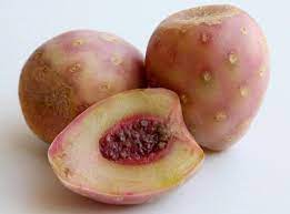 Xoconostle Kg.