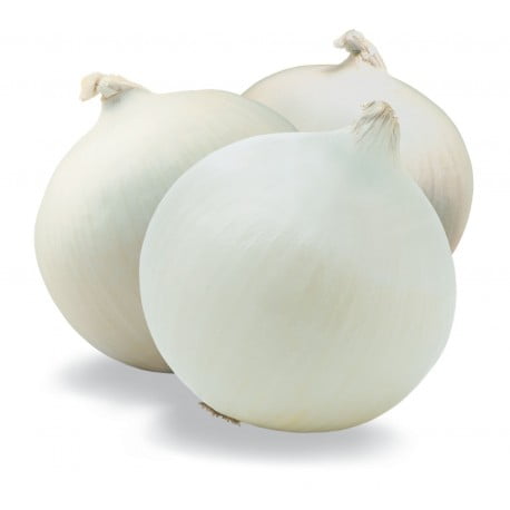 Cebolla Blanca Kg.