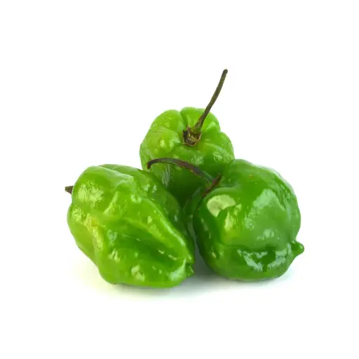 Chile Habanero Kg.