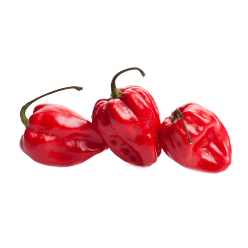 Chile Habanero Rojo Kg.
