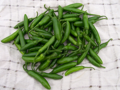 Chile Tampiqueño Kg.